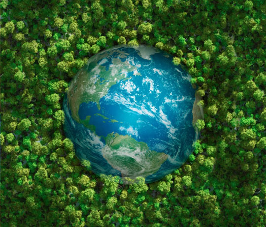 Wood - Eco Footprint