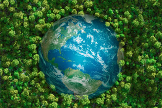 Wood - Eco Footprint